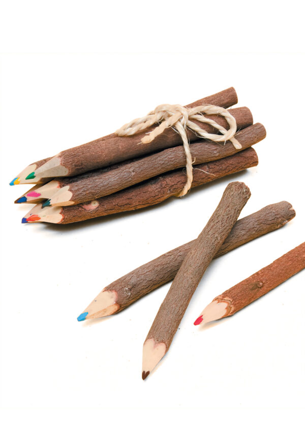 Pack of 10 twig pencils