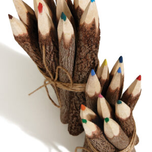 Twig pencils