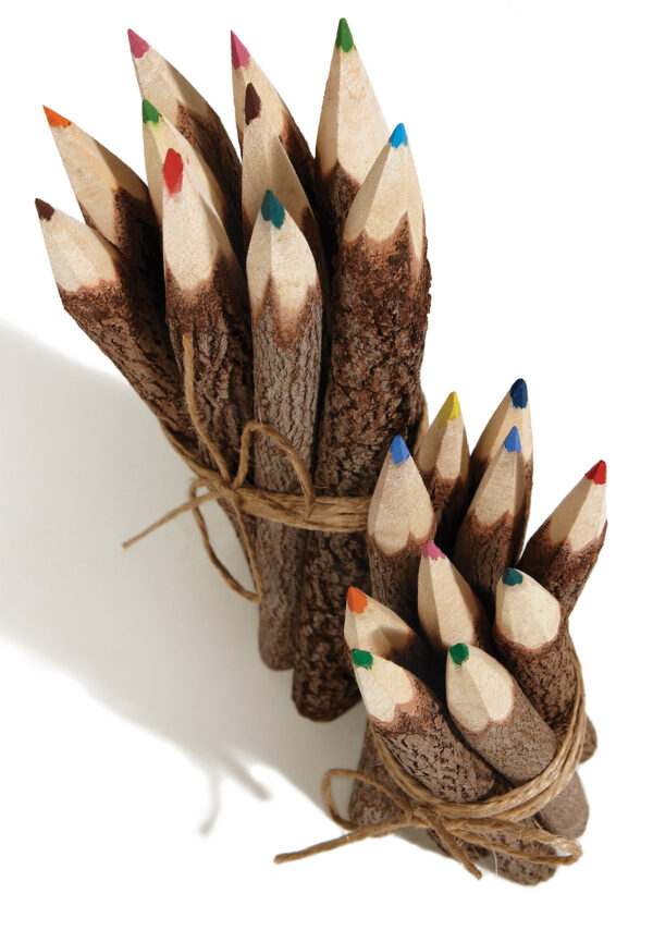 Twig pencils