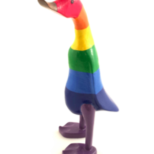 Rainbow duck