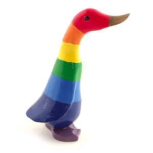 Rainbow duckling