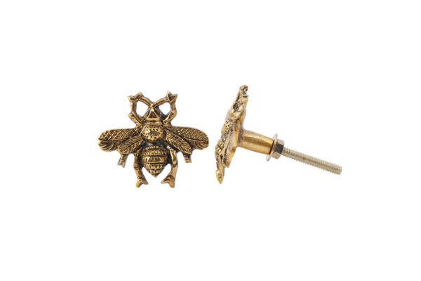 Gold brass bee door knob, Wildwood Cornwall, Bude