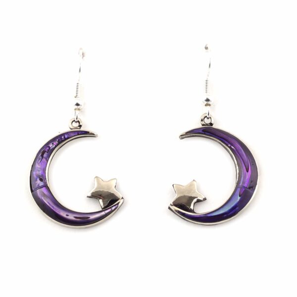 Purple moon and star earrings fairtrade Wildwood Cornwall Bude