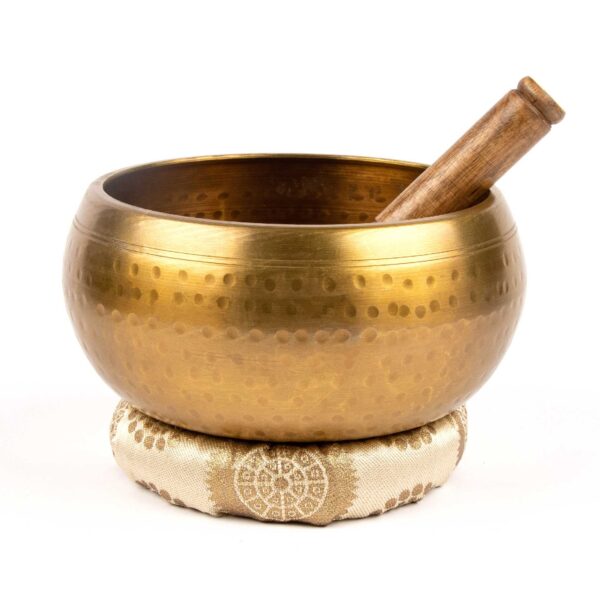 Large singing bowl India energy healer Wildwood cornwall