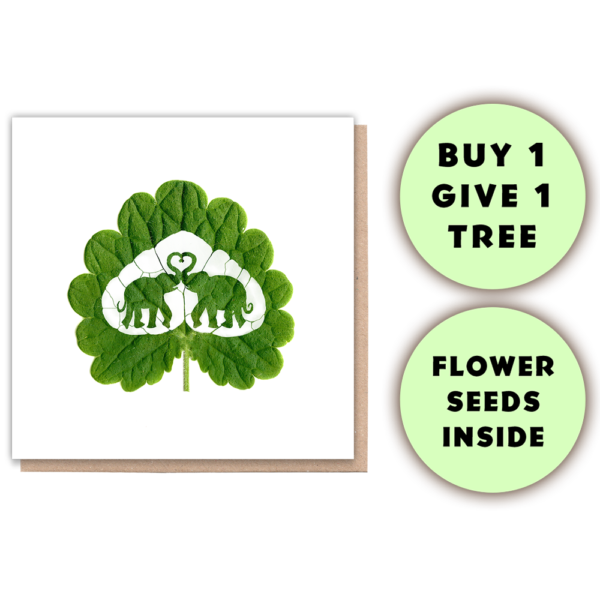 Elephant love sustainable greeting card 1treecards Wildwood Cornwall