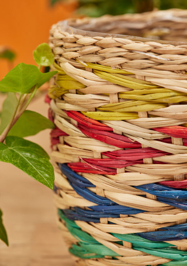 Fair trade wildwood Cornwall basket planter