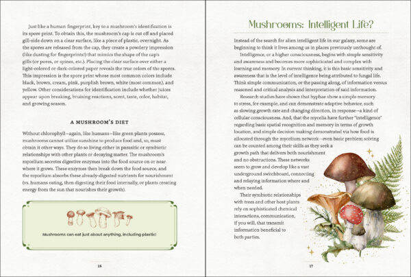 Mushroom book magical mystical wildwood Cornwall