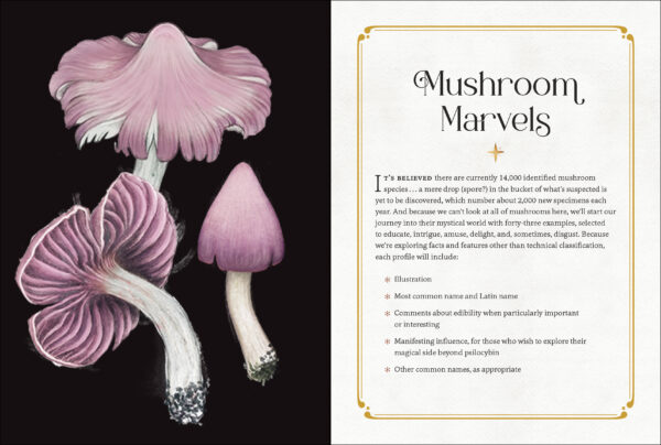 Mystical mushrooms book Wildwood