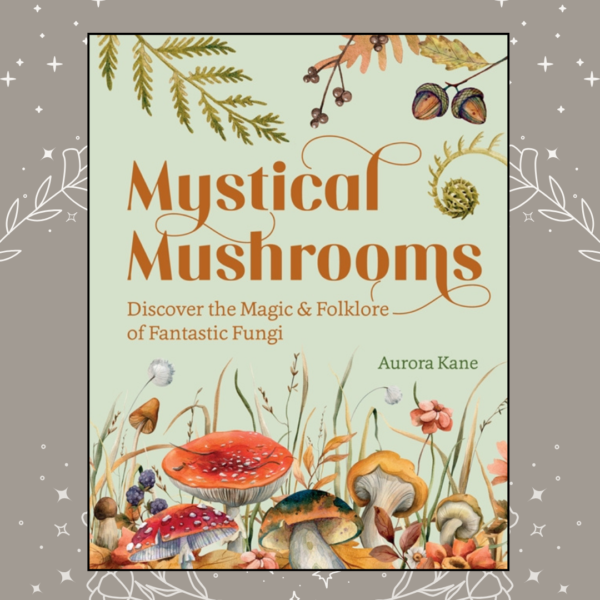 Mystical mushrooms book Wildwood Cornwall