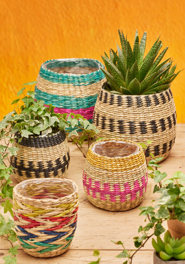 Selection of basket planters