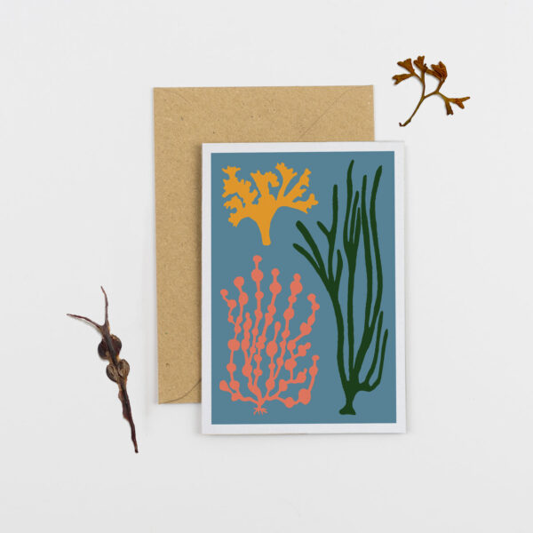 blue seaweed card Studio Wald Wildwood cornwall