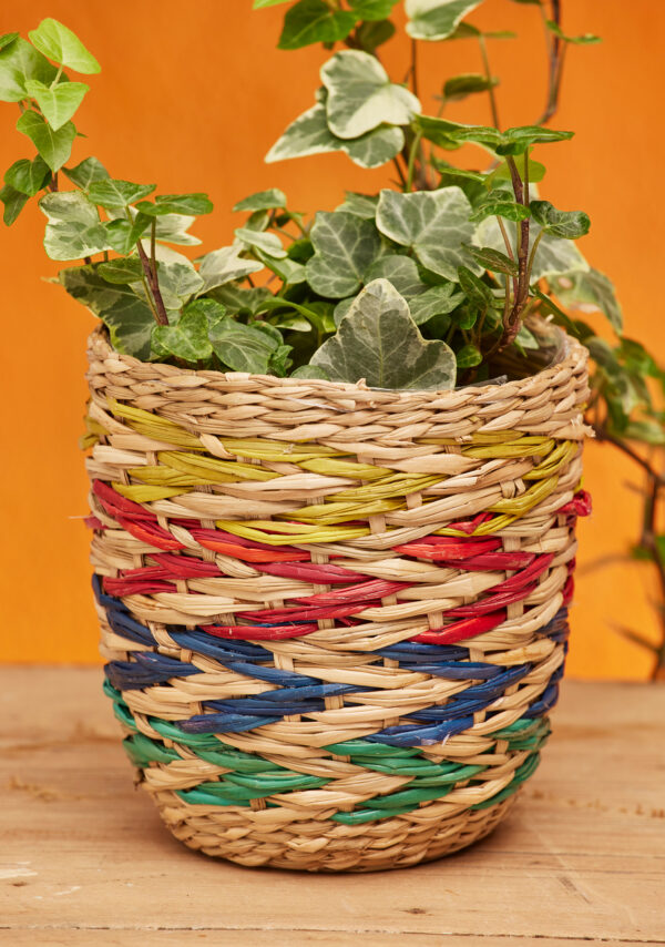 chevron multicoloured basket planter wildwood Cornwall sustainable seagrass
