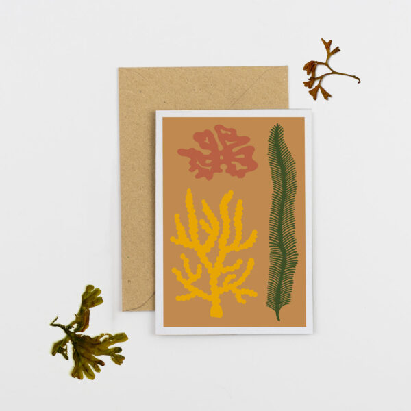 mustard yellow seaweed card by studio wald Wildwood cornwall