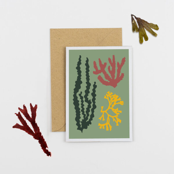 studio wald seaweed card in green Wildwood cornwall