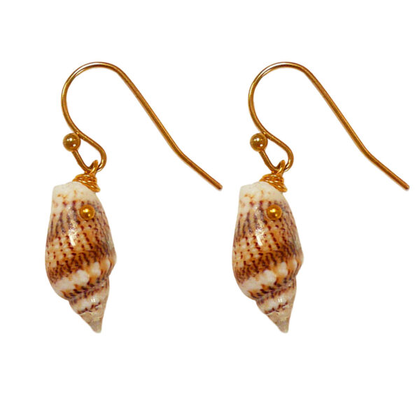 Gold plated natural shell drop earrings Wildwood Cornwall