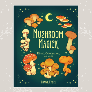 Mushroom Magick book Wildwood Cornwall