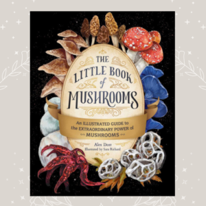 The little book of mushrooms Wildwood Cornwall Alex Dorr