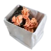 DIY mushroom grow kit pink oyster wildwood cornwall