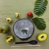 Elephant hand painted coconute bowl Wildwood Cornwall