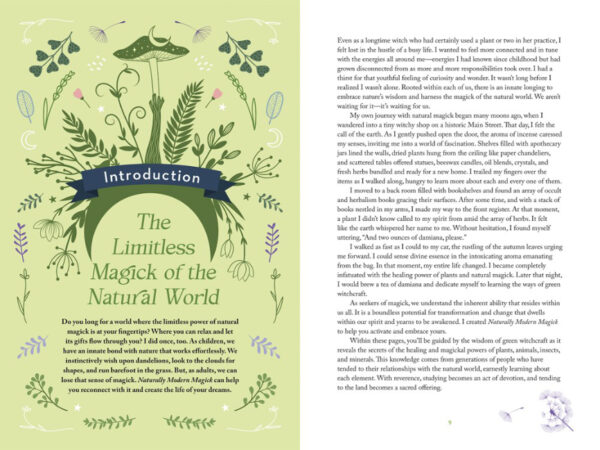 Naturally modern Magick book
