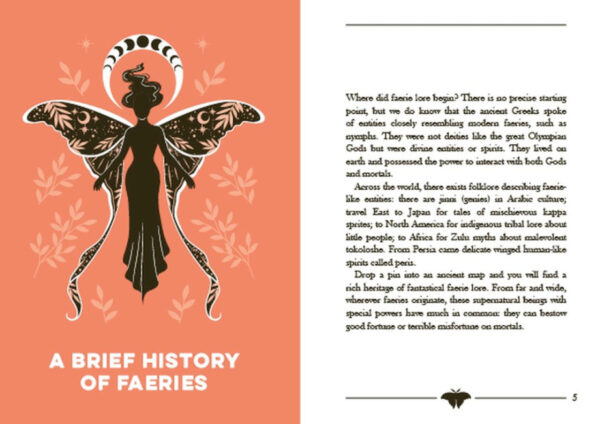 The little book of Faeries insert Wildwood