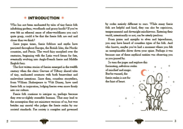 The little book of Faeries inside