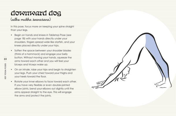 The little book of yoga 1