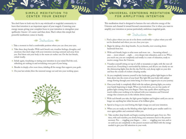 Naturally modern Magick book