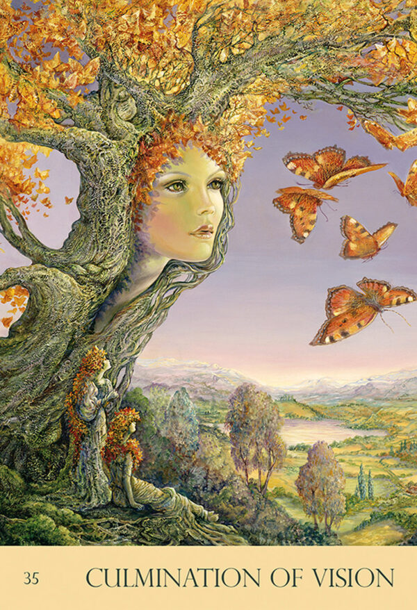 nature's whispers oracle cards wildwood cornwall
